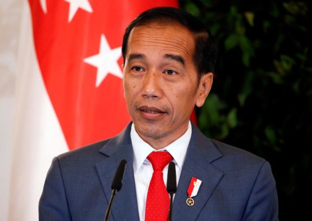 Indonesian president to visit Kyiv, Moscow this month: minister