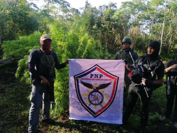 Members of the PNP Drug Enforcement Unit in Lanao del Sur. STORY: PNP destroys P9 million worth of cannabis in Lanao Del Sur