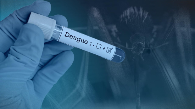 The Philippines has reported almost 35,000 cases of dengue fever and 180 dengue-related deaths in the first five months of 2022, the Department of Health (DOH) said on Thursday.
