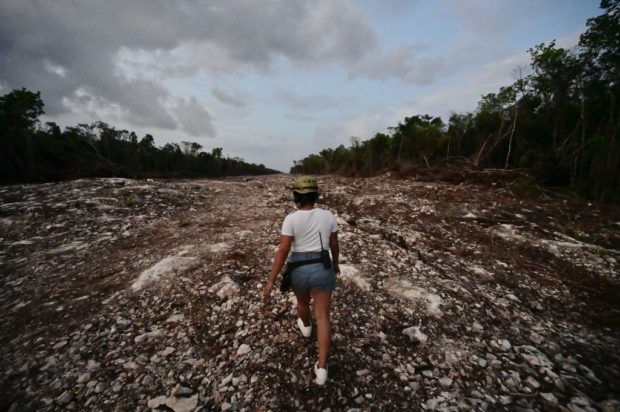An activist walks through the construction site of Section 5 South of the Mayan Train