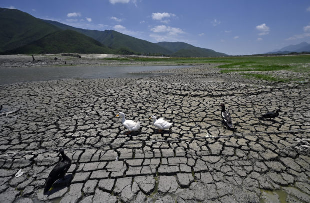‘Desperate for water’: drought hits Mexican industrial powerhouse