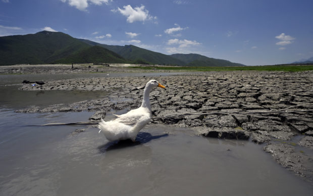 Mexico declares drought emergency