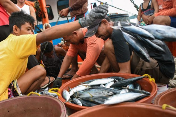 A fisherfolk organization said that the “fuel assistance to fisherfolk” worth P489.6 million included in the Bureau of Fisheries and Aquatic Resources (BFAR) proposed budget for 2023 is insufficient.