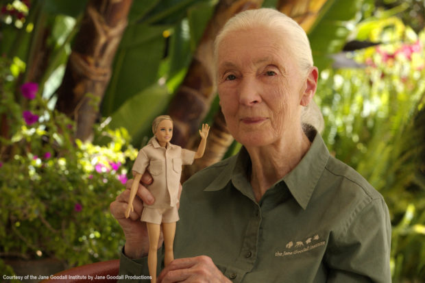 In this undated handout image courtesy of the Jane Goodall Institute, famous British primatologist Jane Goodall holds a Barbie doll in her likeness. - American toy manufacturer Mattel has unveiled new specialty Barbie dolls modeled after the famous English primatologist Jane Goodall and her beloved research specimen, a chimpanzee named David Greybeard. The Goodall doll, which Mattel says will be partly made with recycled plastic, sports the researcher's classic beige collared shirt and shorts, as well as a pair of binoculars and a blue notebook. (Photo by The Jane Goodall Institute / AFP) /