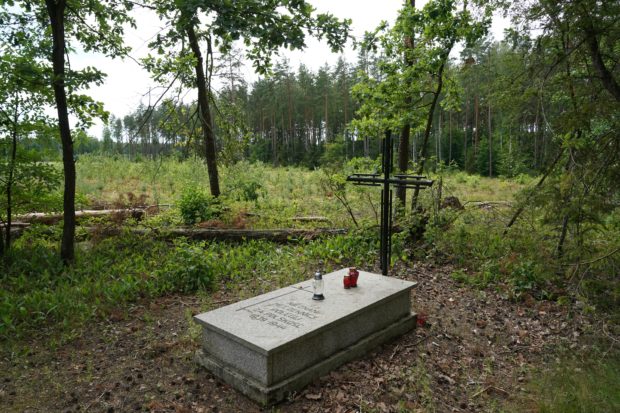 Remains of 8,000 Nazi war victims found in Poland