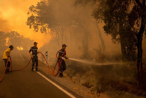 One person killed fighting Morocco forest fire