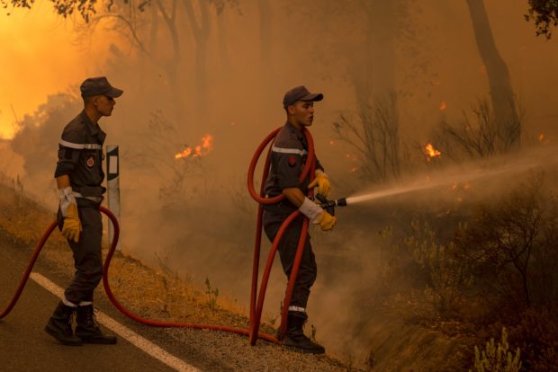 More firefighters, soldiers sent to tackle Morocco’s forest blazes