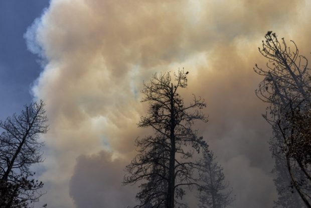 Heavy smoke rises as the Oak Fire chews through the forest near Midpines, northeast of Mariposa, California, on July 23, 2022. - The fire is burning west of Yosemite National Park where the Washburn Fire has threatened the giant sequoia trees of the Mariposa Grove. (Photo by DAVID MCNEW / AFP)