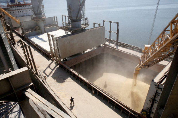 FILE PHOTO: A dockyard worker watches as barley grain is mechanically poured into a 40,000 ton ship at a Ukrainian agricultural exporter's shipment terminal in the southern Ukrainian city of Nikolaev July 9, 2013. REUTERS/Vincent Mundy/File Photo