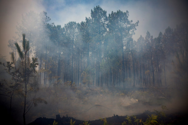 A view shows smoke and burned trees during a fire near Louchats, as wildfires continue to spread in the Gironde region of southwestern France, July 17, 2022. REUTERS/Sarah Meyssonnier