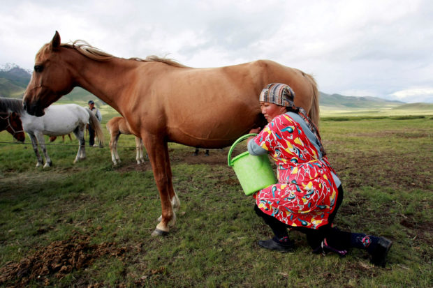 Kyrgyzstan promotes its traditional mare’s milk to lure tourists