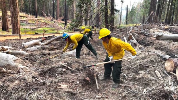 Firefighters start to contain blaze in California’s Yosemite