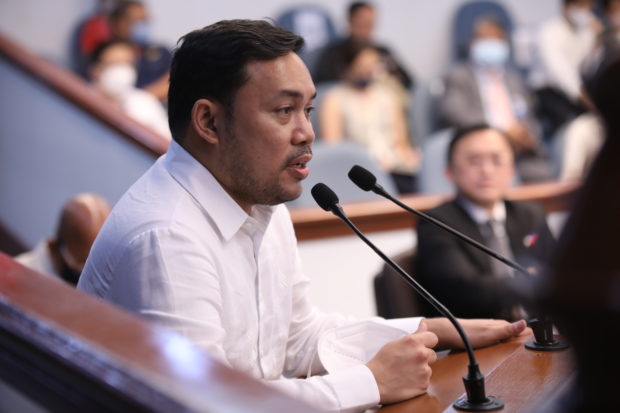 Senator Mark Villar is among the upper chamber's deputy majority floor leaders,