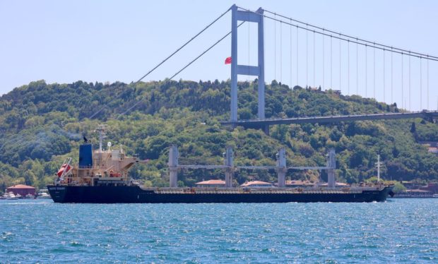 yiv asks Turkey to probe three more Russian ships it alleges transported stolen grain
