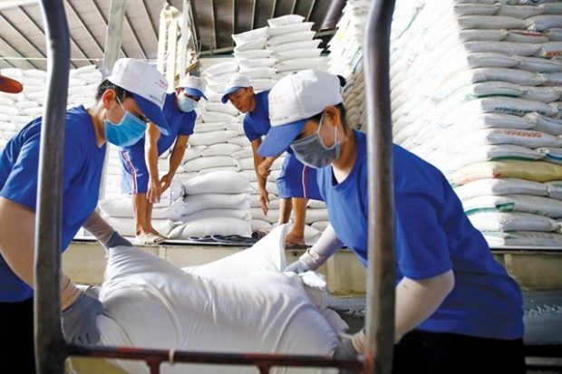 Wheat shortages bode well for Vietnamese rice