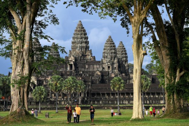 Baby boom: the endangered wildlife revival at Cambodia’s Angkor Wat
