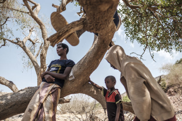 ‘Why are we being ignored’ plead the hungry in Ethiopia’s Afar