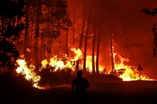 Police have arrested 48 people for allegedly starting forest fires in France during the summer