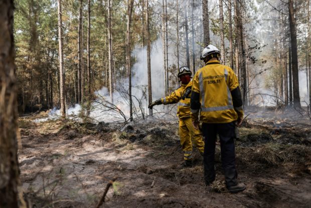 2022 sees record Europe wildfire destruction—EU