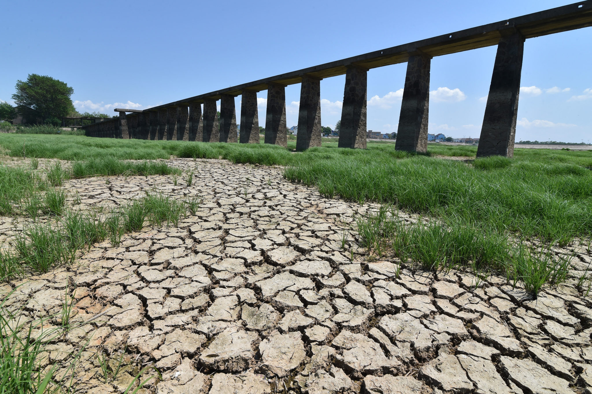 Half of China hit by drought in worst heatwave on record Inquirer News