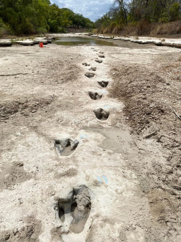 Drought uncovers dinosaur tracks in US park