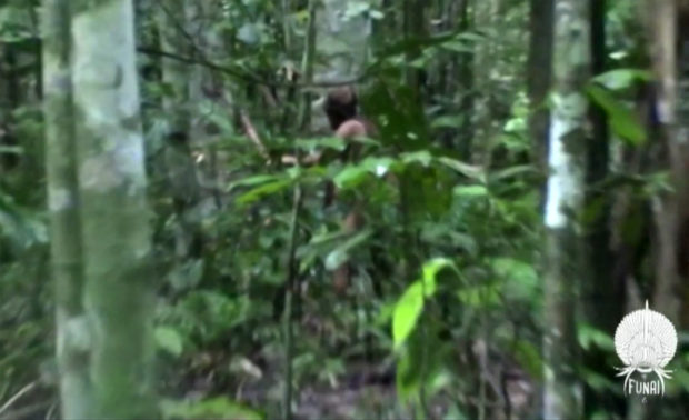 Last member of Brazilian indigenous community found dead