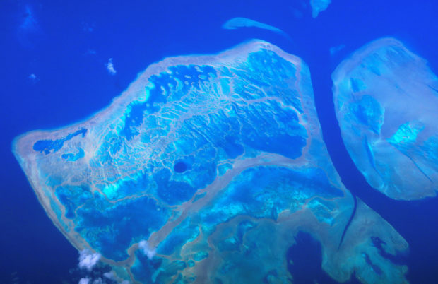 Parts of Australia’s Great Barrier Reef show highest coral cover in 36 years