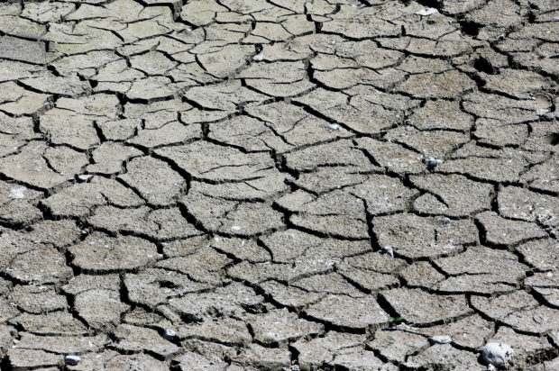 Temperatures rise as France tackles its worst drought on record