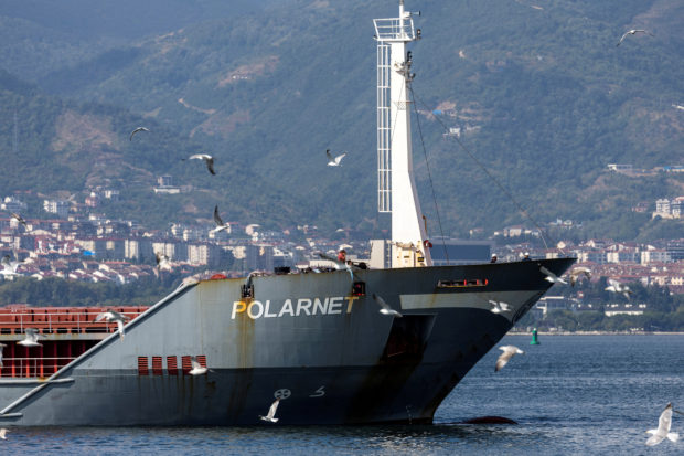 Turkish-flagged cargo ship Polarnet, carrying Ukrainian grain, approaches its final destination, marking the completion of the first shipment since the exports were re-launched from Ukraine, at Safiport Derince in gulf of Izmit in Kocaeli province, Turkey August 8, 2022. REUTERS/Umit Bektas/File Photo