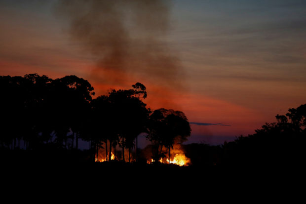 Explainer: Causes and consequences of Amazon fires and deforestation