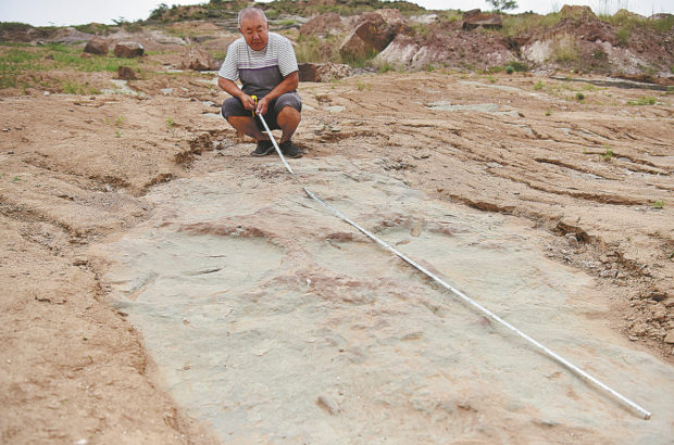 Dinosaur footprints discovered in Hebei