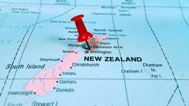 New Zealand will undertake a review of the risks and benefits of seabed mining