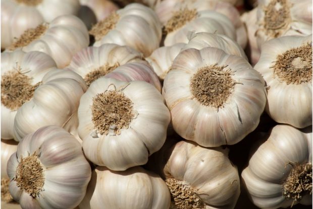 Stock photo of garlic cloves. STORY: PH heavily reliant on garlic imports to meet demand
