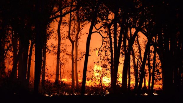 Firefighters battle wildfire on Croatian island after man dies