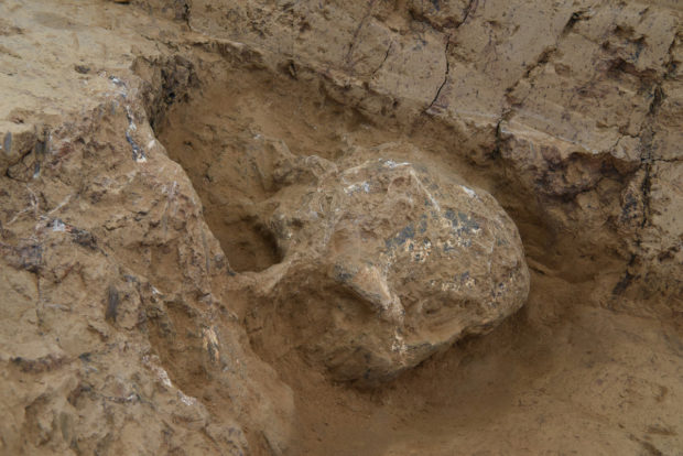 1-million-year-old human skull fossil