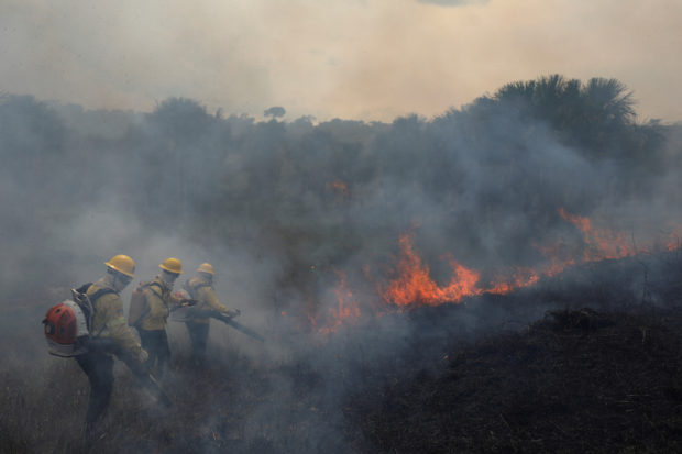Brazil’s Amazon sees worst August fires in over a decade