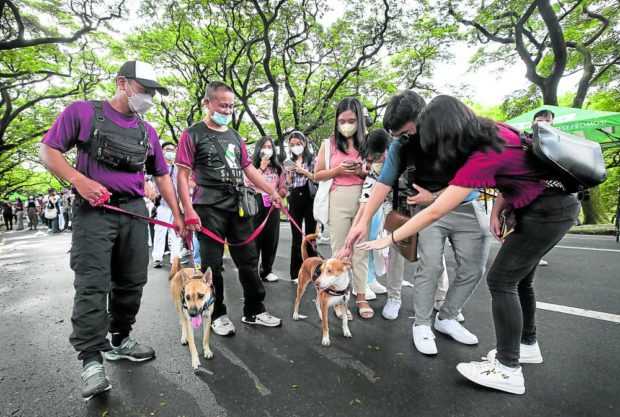 CALMING CANINE A group of incoming freshmen reaches out to pat a dog along the Academic Oval. The dogs were brought in to help relax first-time college students under the UP Diliman Emotional Support Animals program. —LYN RILLON. STORY: Resume college admission tests, UP urged