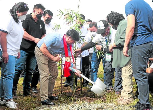 ENVIRONMENTAL ACT President Marcos marked his 65th birthday on Tuesday by planting a bamboo tree in San Mateo, Rizal. —MARIANNE BERMUDEZ