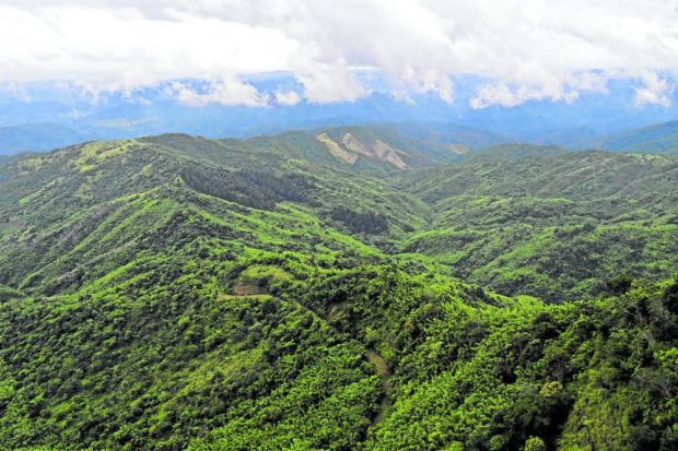 OASIS The Masungi Georeserve Foundation is keeping watch over this vast protected area in Rizal province. STORY: Masungi foundation seeks Palace intervention
