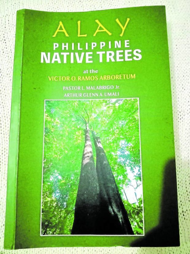 The book “Alay” gives readers a crash course on Philippine trees