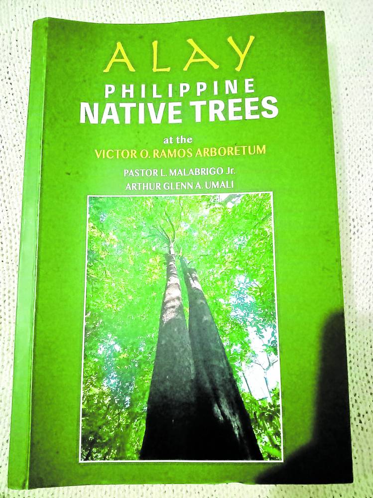 In Pangasinan, ‘love affair’ with native trees blooms | Inquirer News