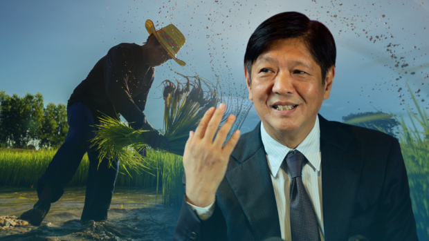 Marcos orders 1-year freeze on payments of agrarian reform beneficiaries