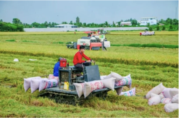 Low-carbon rice production