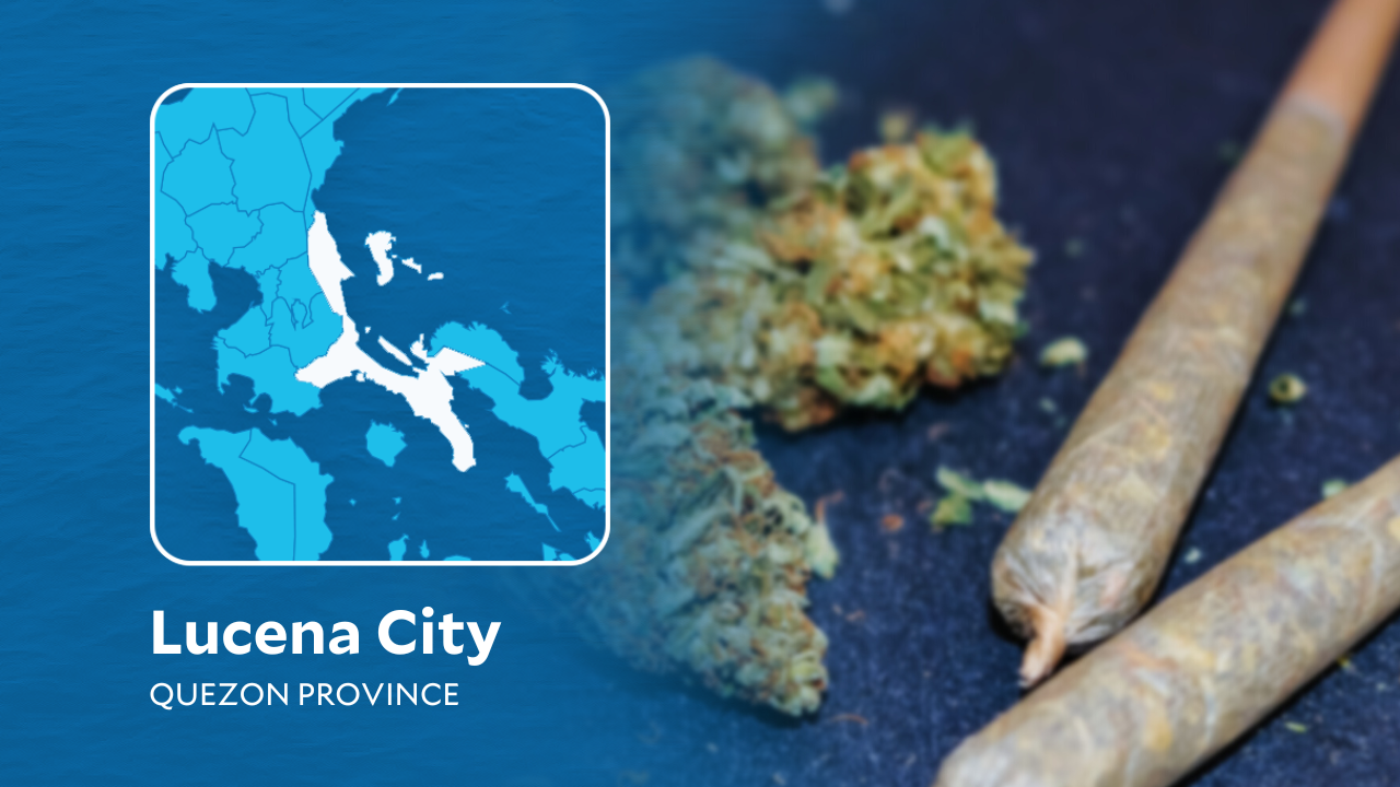 Marijuana worth P498,000 seized in Lucena City