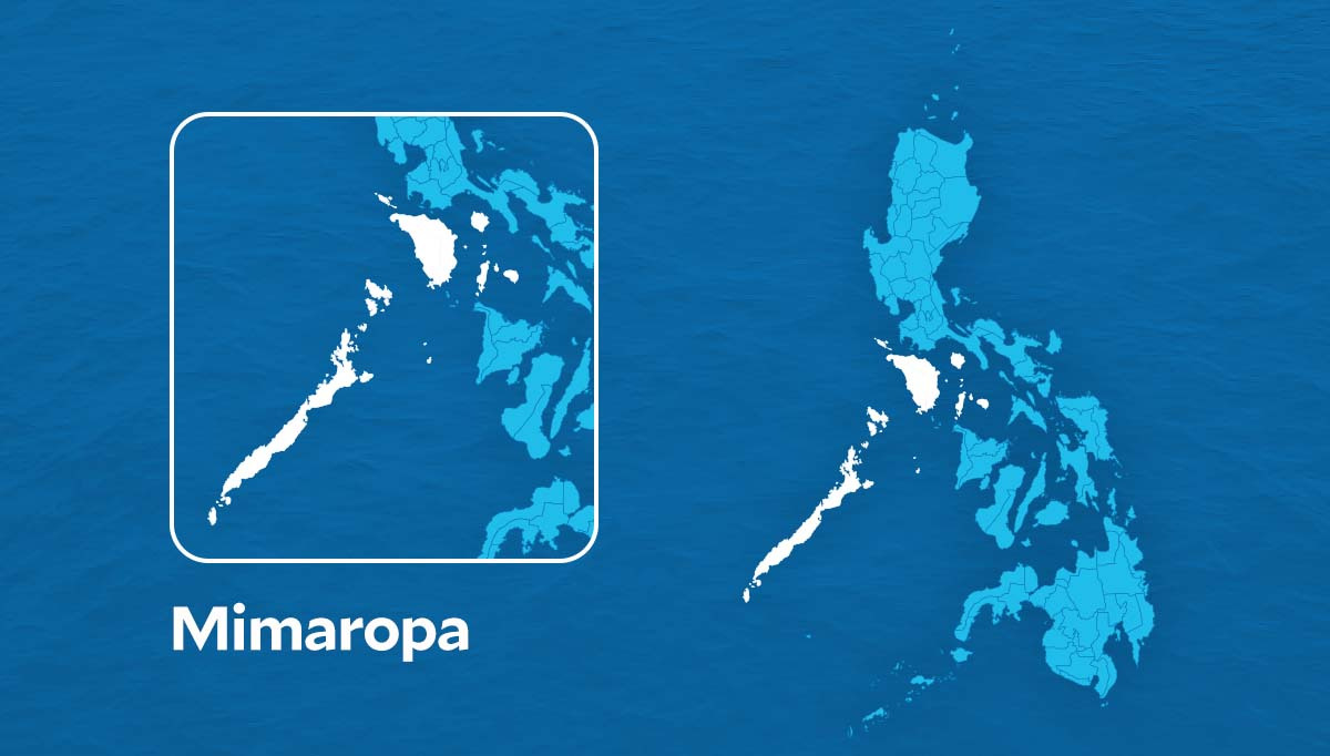 Mimaropa Region logs 63% drop in crime rate