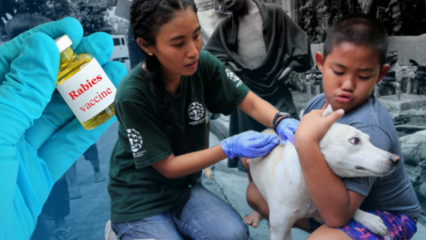 With over 200 average deaths yearly, PH far from rabies-free status
