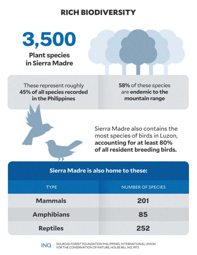 Sierra Madre stands up to Karding, but needs protection vs the humans