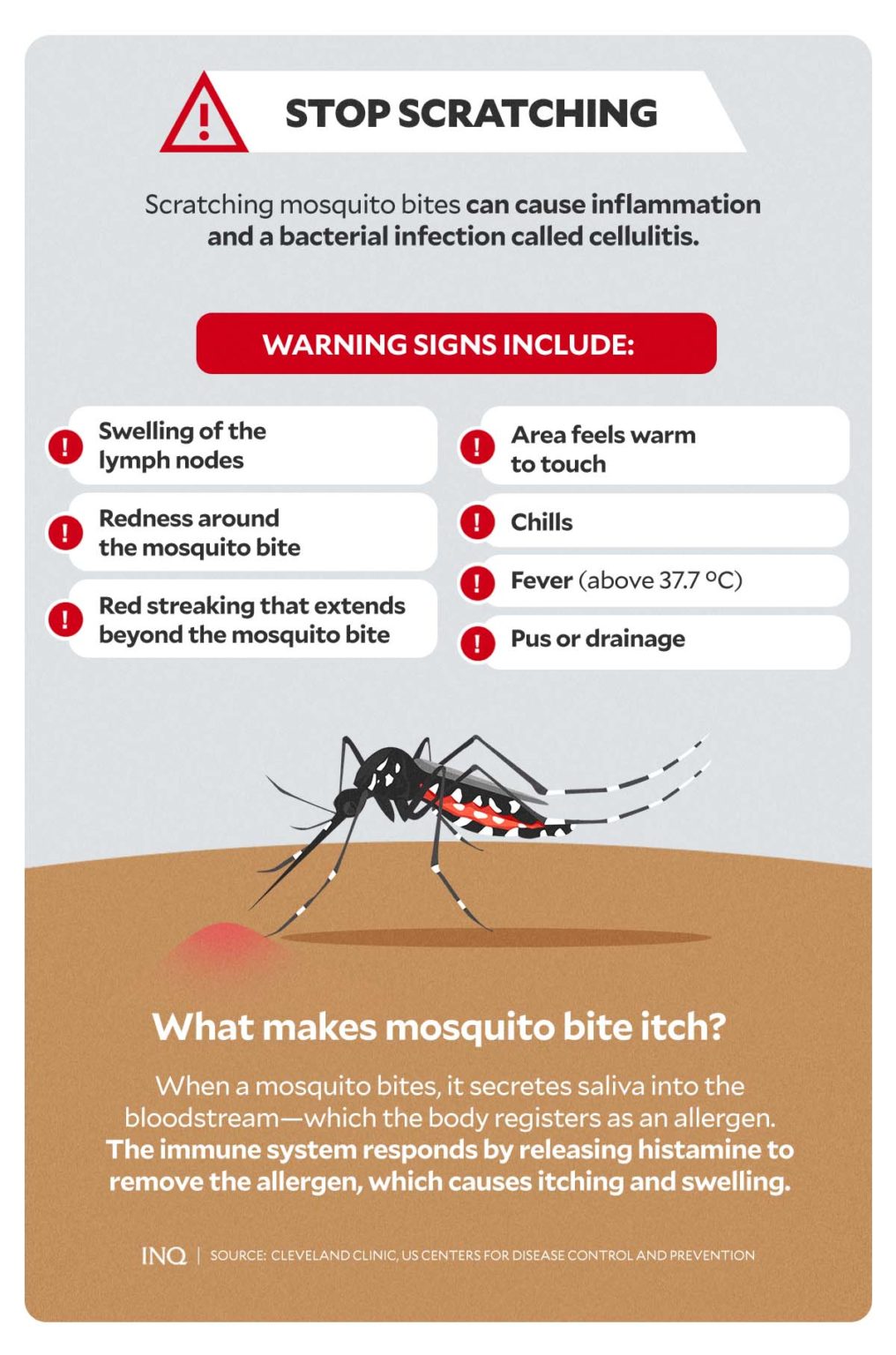 Understanding mosquito bites: Why you’re a target, why they itch ...