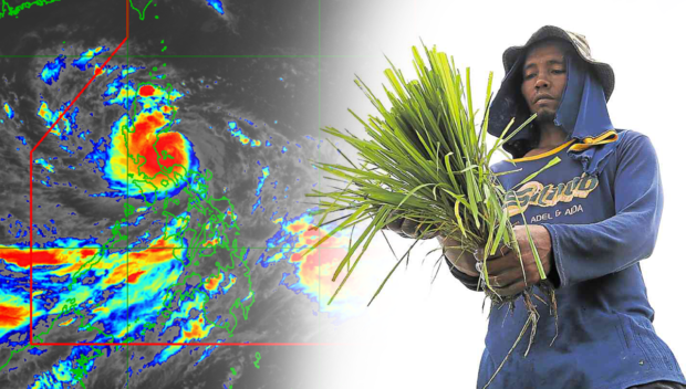 Karding's agri damage hits P9.7 million in Negros Occidental