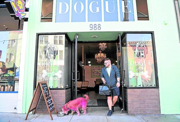 PAMPERING POOCHES MJ, a terrier mix, drinks cucumber- infused water as owner Joey Lake exits Dogue, a restaurant for dogs in San Francisco, California, on Oct. 5. —AFP